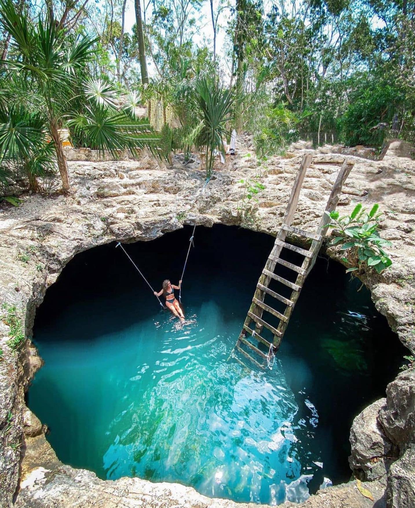 The 10 Best Cenotes In Tulum : Ultimate Guide 2024